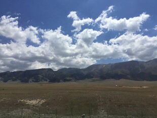 蓝天白云下的广袤原野