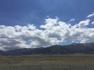 蓝天白云下的广袤原野