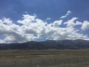 蓝天白云下的广袤原野