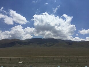 蓝天白云下的广袤原野