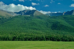 青山绿野间的壮美山景