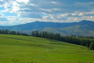 草原风光与远山美景