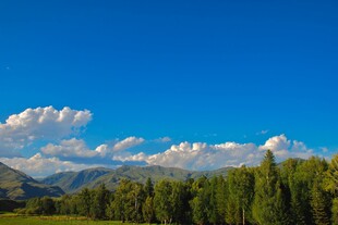 蓝天绿树间的壮美山景