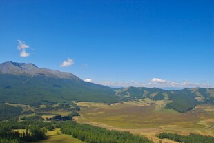 高山草甸壮美风光