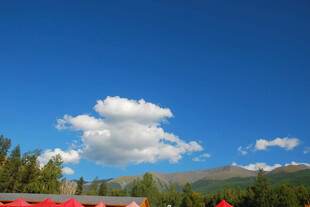 蓝天绿树间的美丽景致