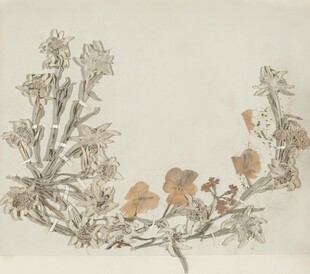 中式花卉枝叶绘画作品
