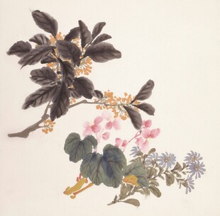 花卉工笔画作