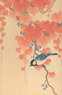 花鸟图
