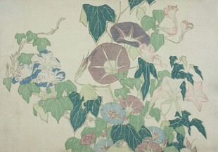 花鸟藤蔓图