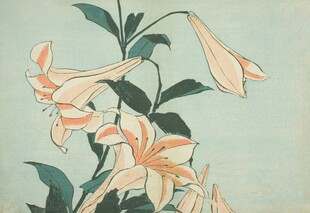 淡雅百合花卉图