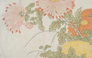 花卉写意画