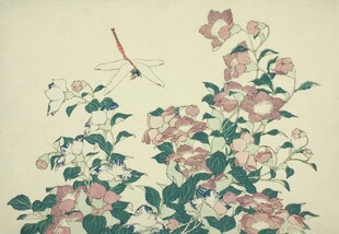 中式花卉绘画作品