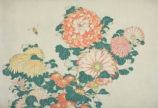 摄影-人文