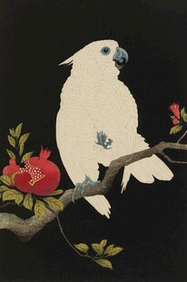 白鹦鹉栖于繁花枝头