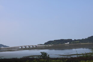 河畔桥梁风景