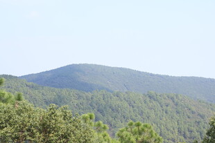 山林景致