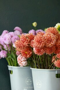 多彩鲜花插于白色花器中