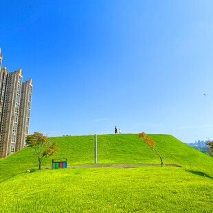 城市中的翠绿斜坡景观