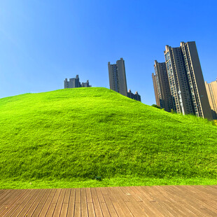 绿草如茵旁的现代高楼