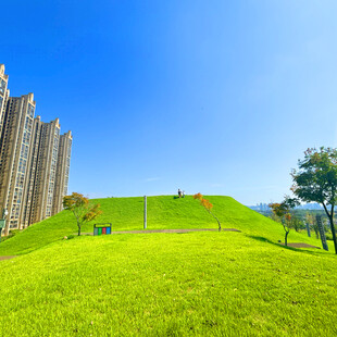 城市中的翠绿草坪景观