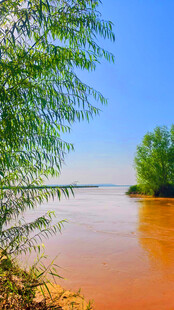 湖畔绿树映橙黄湖水