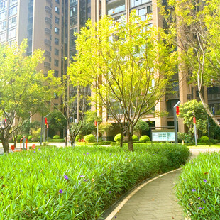 城市小区内的绿意小径