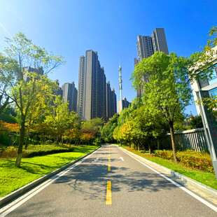 城市林荫大道与摩天大楼