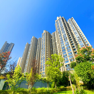 高楼林立的城市宜居景观