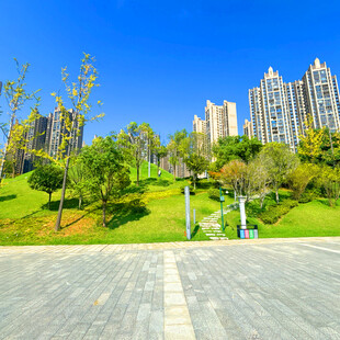 城市公园绿地与高楼景观