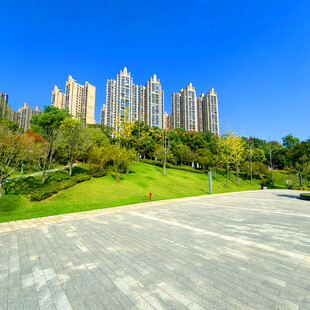 城市中的高楼与绿地景观