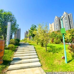 城市中的绿意步道景观