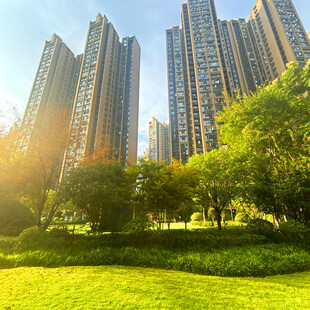 阳光照耀下的城市绿地高楼