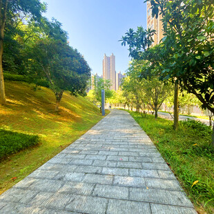 城市林间石板步道风景