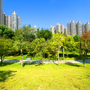 城市公园绿意盎然景致