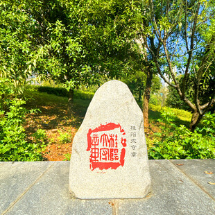 刻字石碑立于绿意盎然中