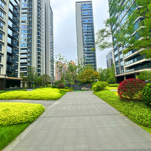 现代小区内的优美景观步道