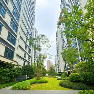 现代小区绿意盎然景观