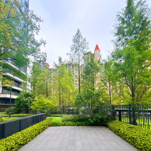 都市中的静谧园林景观