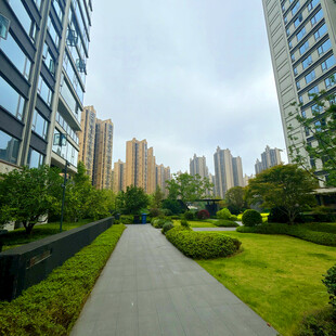 城市中的静谧绿化步道