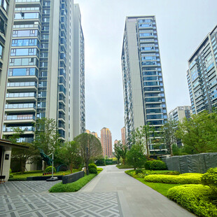 都市中的宁静住宅景观