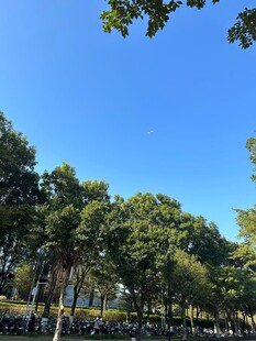 蓝天绿树风景宜人