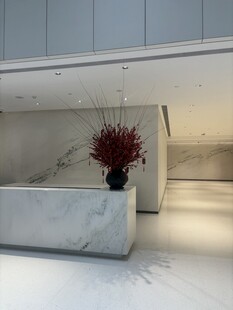 现代简约风室内盆栽摆件