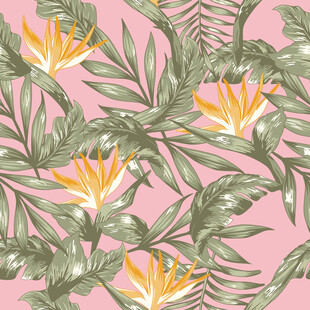 粉色背景热带植物花卉图案