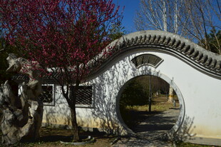 公园风景  