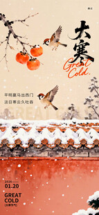 大寒海报