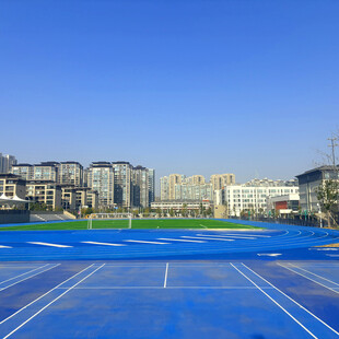 蓝色塑胶运动场与城市景观
