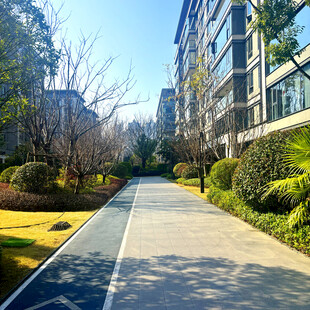 小区内整洁的林荫步道