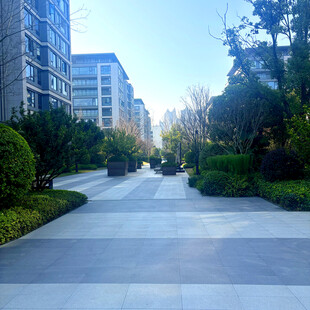 小区内的静谧林荫步道