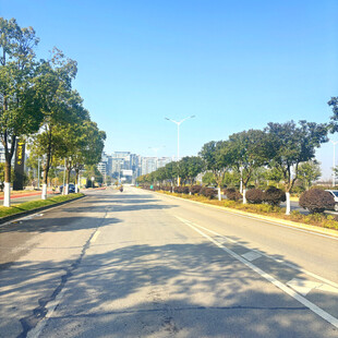 宽阔公路旁绿树蓝天相伴