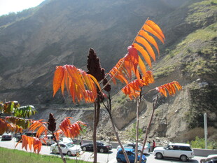 山间多彩风车装饰景观